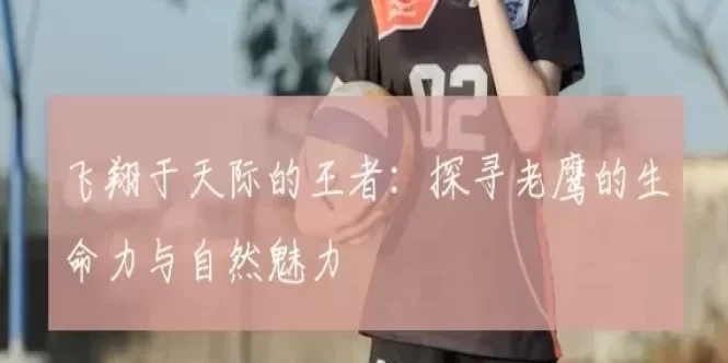 飞翔于天际的王者：探寻老鹰的生命力与自然魅力